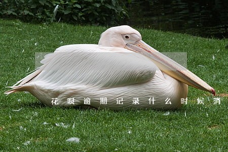 花呗逾期记录什么时候消除 花呗逾期记录什么时候消除