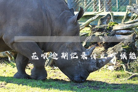 花呗逾期记录什么时候能消除 花呗逾期记录什么时候能消除