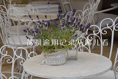 花呗逾期记录从哪儿看 花呗逾期记录从哪儿看
