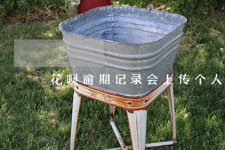 花呗逾期记录会上传个人征信吗 花呗逾期记录会上传个人征信吗