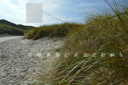 花呗逾期记录会会影响车贷吗 花呗逾期记录会会影响车贷吗