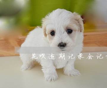 花呗逾期记录会记录几年 花呗逾期记录会记录几年