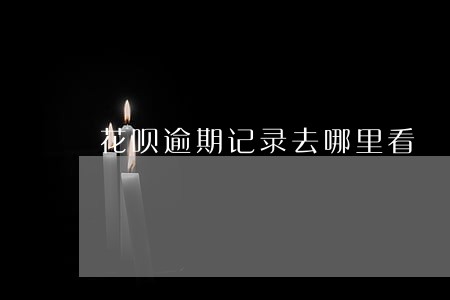 花呗逾期记录去哪里看 花呗逾期记录去哪里看