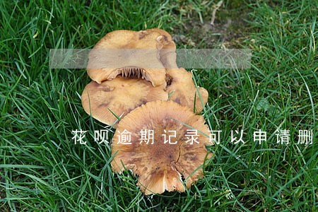 花呗逾期记录可以申请删除吗 花呗逾期记录可以申请删除吗