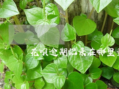 花呗逾期记录在哪里查 花呗逾期记录在哪里查
