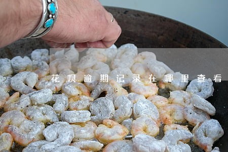 花呗逾期记录在哪里查看 花呗逾期记录在哪里查看
