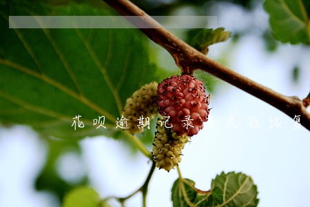 花呗逾期记录多久能恢复 花呗逾期记录多久能恢复