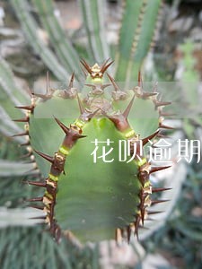 花呗逾期记录多长时间 花呗逾期记录多长时间