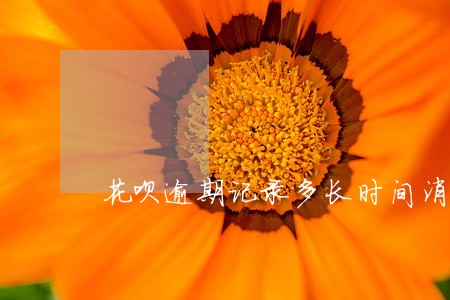花呗逾期记录多长时间消除 花呗逾期记录多长时间消除
