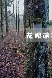 花呗逾期记录太多 花呗逾期记录太多