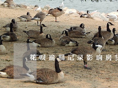 花呗逾期记录影响房贷么 花呗逾期记录影响房贷么