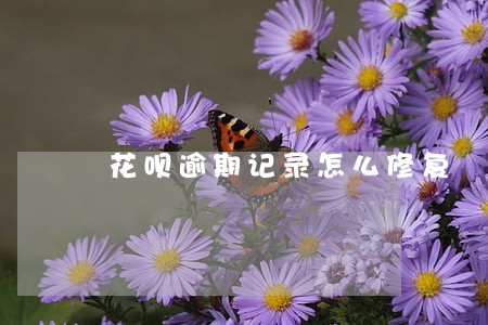 花呗逾期记录怎么修复 花呗逾期记录怎么修复