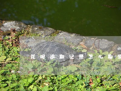 花呗逾期记录怎么取消 花呗逾期记录怎么取消