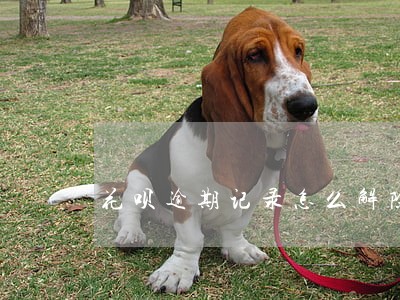 花呗逾期记录怎么解除 花呗逾期记录怎么解除