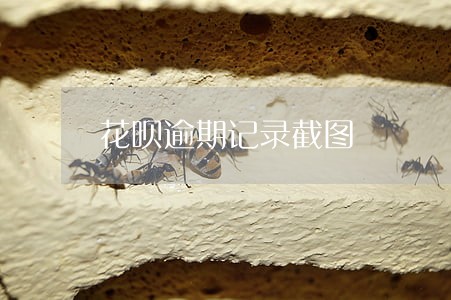 花呗逾期记录截图 花呗逾期记录截图