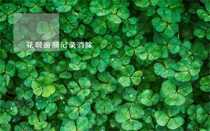 花呗逾期记录消除 花呗逾期记录消除