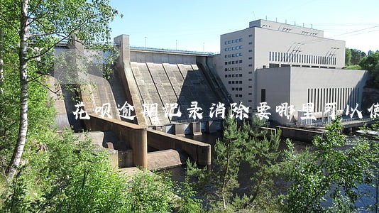 花呗逾期记录消除要哪里可以使用 花呗逾期记录消除要哪里可以使用