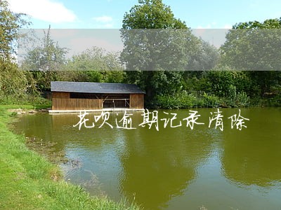 花呗逾期记录清除 花呗逾期记录清除