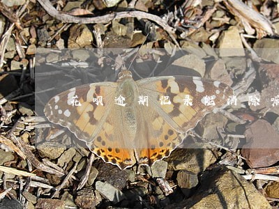 花呗逾期记录能消除嘛