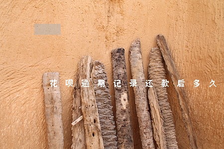 花呗逾期记录还款后多久更新 花呗逾期记录还款后多久更新