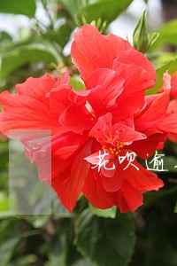 花呗逾期记录还清后多久消除