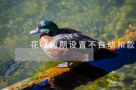 花呗逾期设置不自动扣款