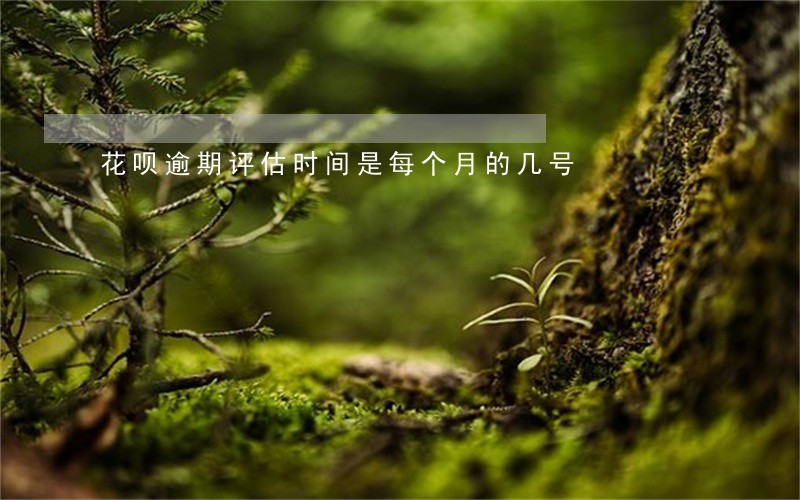 花呗逾期评估时间是每个月的几号