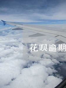 花呗逾期评估标准 花呗逾期评估标准