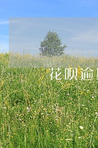 花呗逾期该怎么协商该怎么说