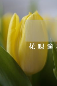 花呗逾期说上门催收 花呗逾期说上门催收