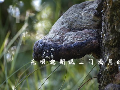 花呗逾期说上门是真的吗 花呗逾期说上门是真的吗