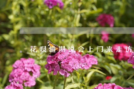 花呗逾期说会上门来走访拍照6 花呗逾期说会上门来走访拍照6