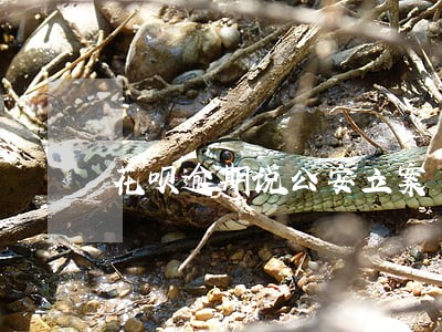 花呗逾期说公安立案 花呗逾期说公安立案