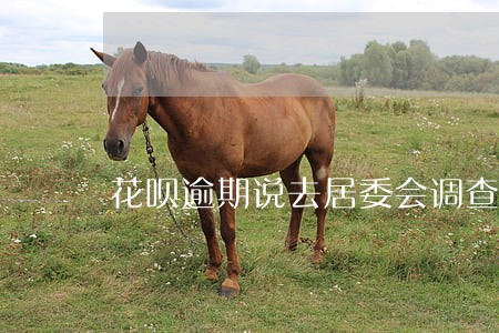 花呗逾期说去居委会调查是真的么