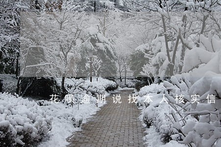 花呗逾期说找本人核实信息 花呗逾期说找本人核实信息