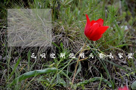 花呗逾期说明天要来家里是真的吗 花呗逾期说明天要来家里是真的吗