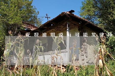 花呗逾期说有可能发律师函怎么办 花呗逾期说有可能发律师函怎么办