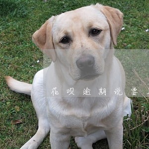 花呗逾期说要上门是真的吗 花呗逾期说要上门是真的吗