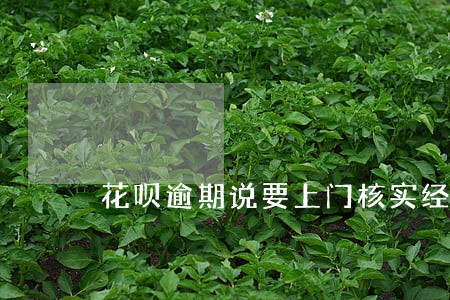 花呗逾期说要上门核实经济情况 花呗逾期说要上门核实经济情况
