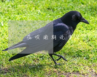 花呗逾期说要上门调查