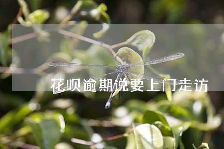 花呗逾期说要上门走访 花呗逾期说要上门走访