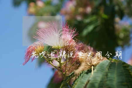 花呗逾期说要关闭分期 花呗逾期说要关闭分期