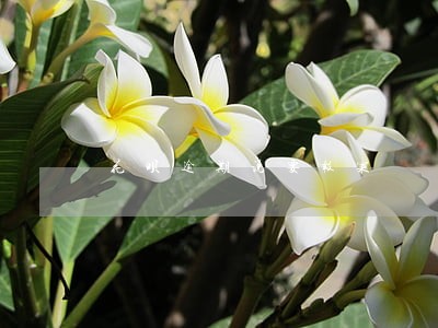 花呗逾期说要报案 花呗逾期说要报案