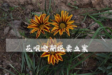 花呗逾期说要立案 花呗逾期说要立案