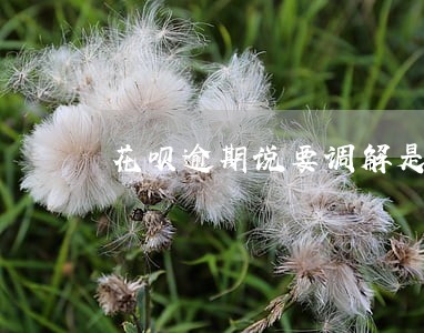 花呗逾期说要调解是真的吗 花呗逾期说要调解是真的吗