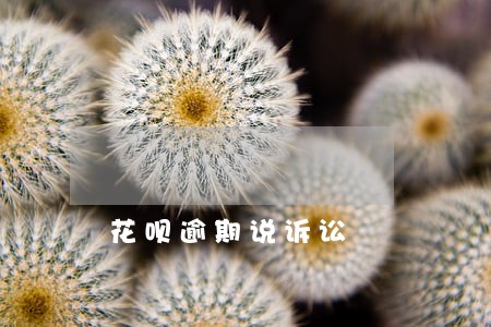花呗逾期说诉讼 花呗逾期说诉讼
