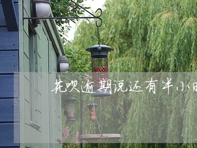 花呗逾期说还有半小时上户籍地 花呗逾期说还有半小时上户籍地
