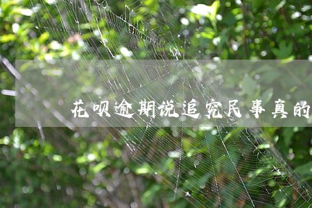 花呗逾期说追究民事真的嘛 花呗逾期说追究民事真的嘛