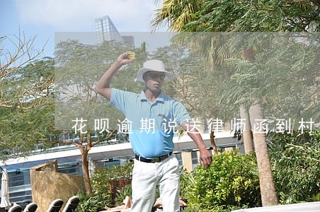 花呗逾期说送律师函到村委会 花呗逾期说送律师函到村委会