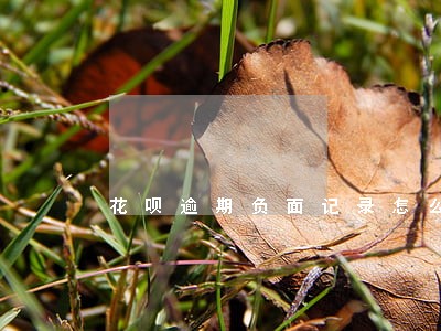 花呗逾期负面记录怎么处理 花呗逾期负面记录怎么处理